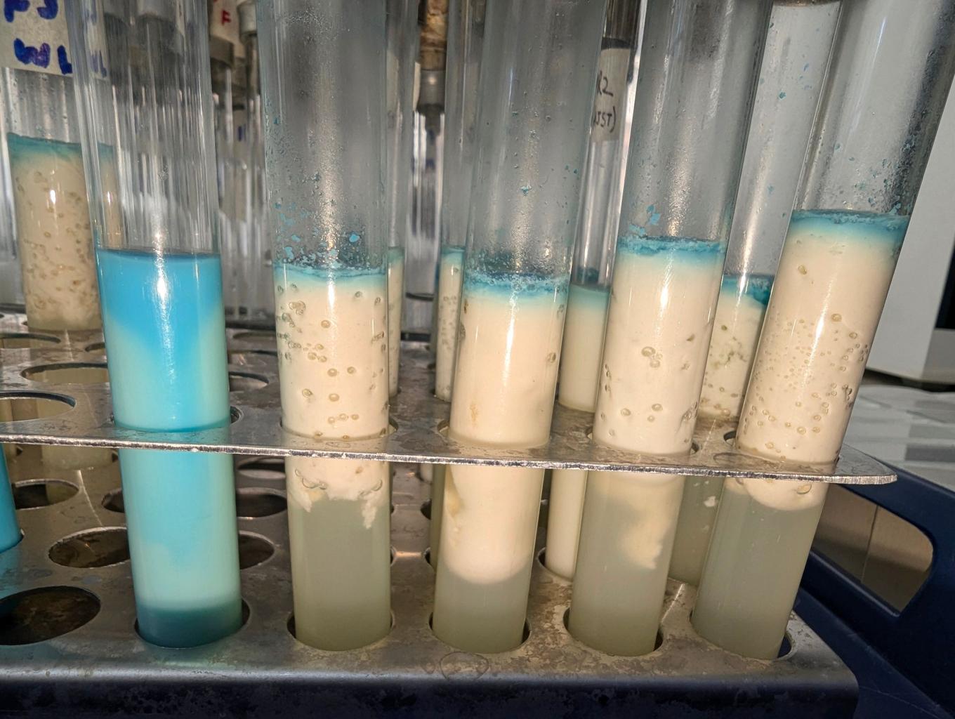 MBRT improvement in milk quality process